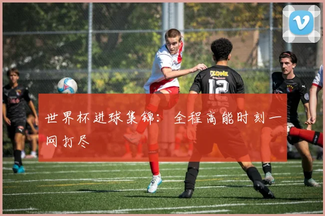 世界杯进球集锦:全程高能时刻一网打尽