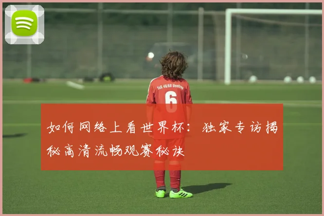 如何网络上看世界杯:独家专访揭秘高清流畅观赛秘诀