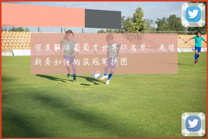 深度解读葡萄牙世界杯名单:老将新秀如何构筑冠军拼图
